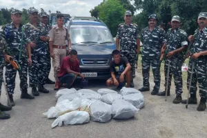 बिश्वनाथ के बिहाली बुरईघाट में भारी मात्रा में अवैध गांजा  किया गया जब्त